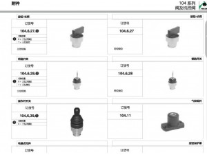 104.32.0.1.PC  PNEUMAX机控阀