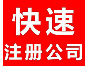 广州番禺奥园 专业代理记账 注册公司 财税咨询