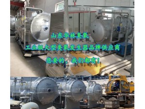 福建大型臭氧发生器供应商 山东华林臭氧 品牌厂家