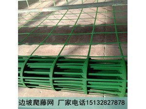 绿色钢塑土工格栅 边坡爬藤网 植物攀爬网生产厂家