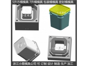 黄岩塑料模具 20L包装桶塑料模具