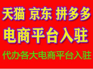 广州番禺海傍 代理记账 提供电商公司 电商税务处理