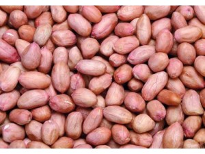进口苏丹花生及花生粕需要哪些资质？