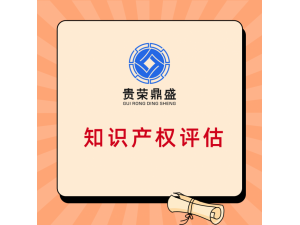 武汉市知识产权评估专利出资评估软著增资评估贵荣鼎盛评估