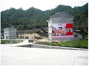湖北乡镇墙体广告公司、荆州农村喷绘墙体广告