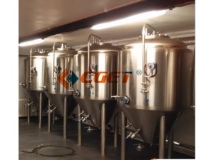 CGET精酿啤酒设备发酵系统