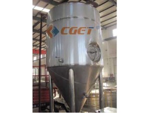 CGET精酿啤酒设备6吨发酵罐