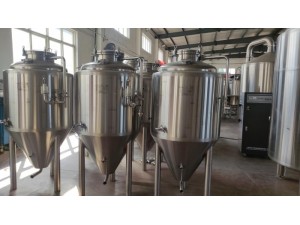 山东中德精酿啤酒设备300L发酵罐